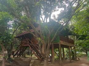 apto cabaña